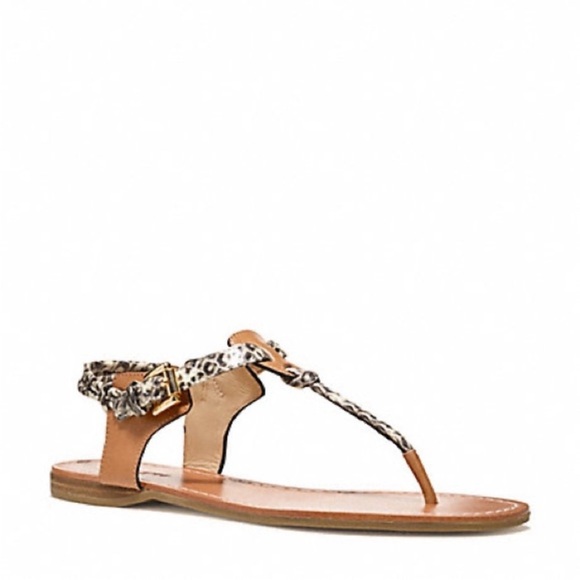 Coach Tan and Brown Snakeskin T-Strap Sandals with Gold Hardware - Picture 2 of 8